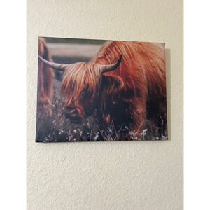 Scottish Highland Cow Canvas Print - Art for Living Room - Farmhouse Charm - Cat